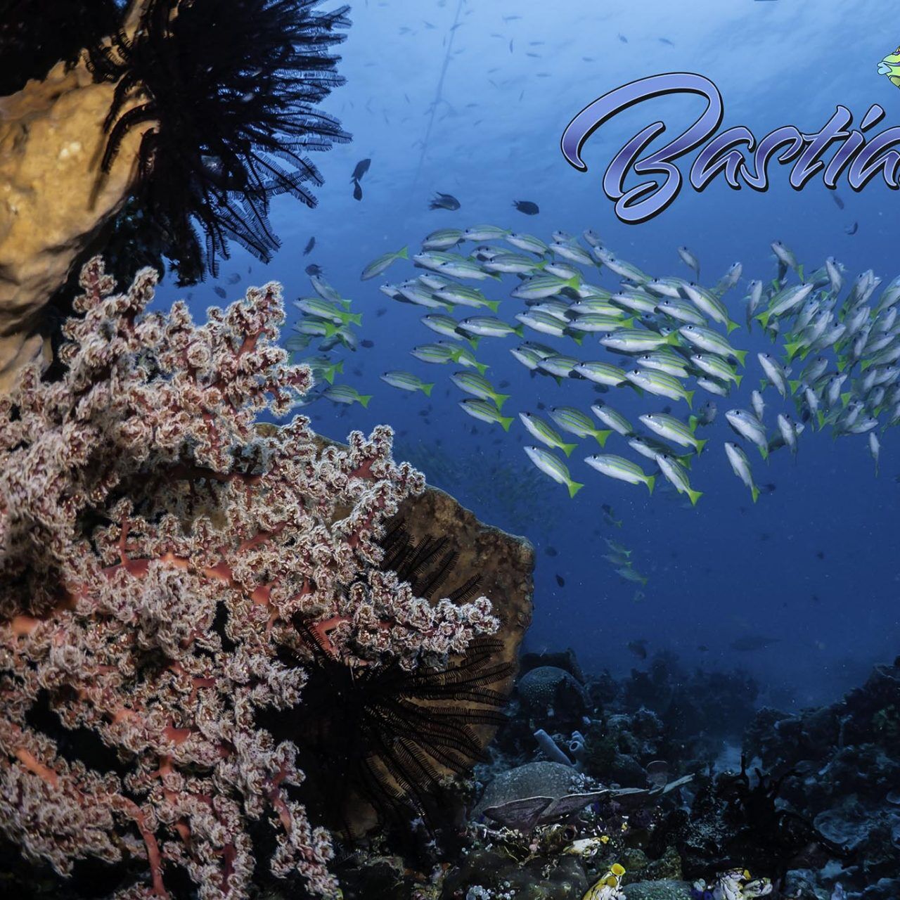 Bastianos Tauchbasis Bangka