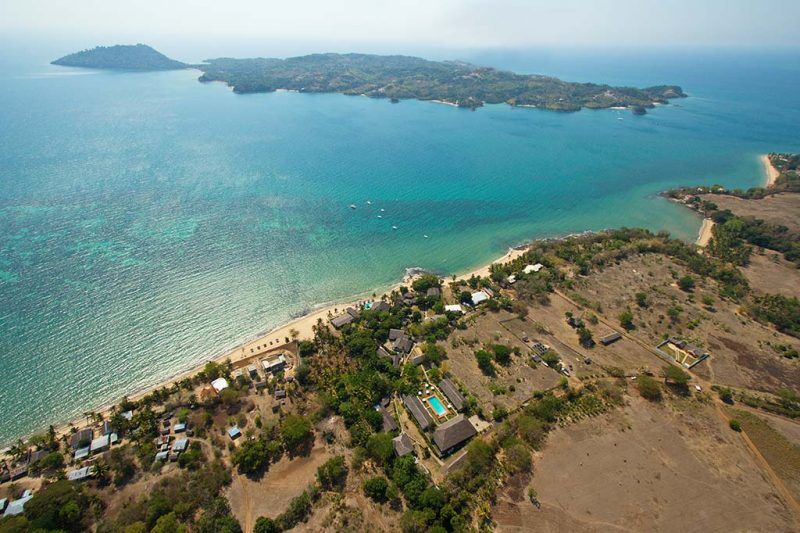 Corail Noir  - Madagaskar - Top Angebot