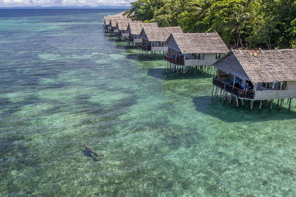 Papua Paradise Eco Resort