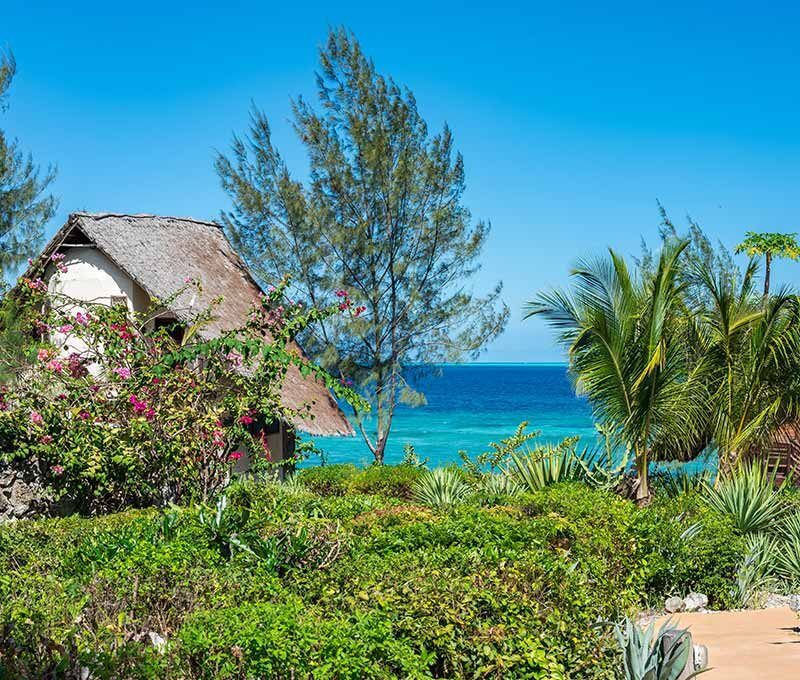 Top Angebot Sansibar - Sunshine Marine Lodge & Dive Point