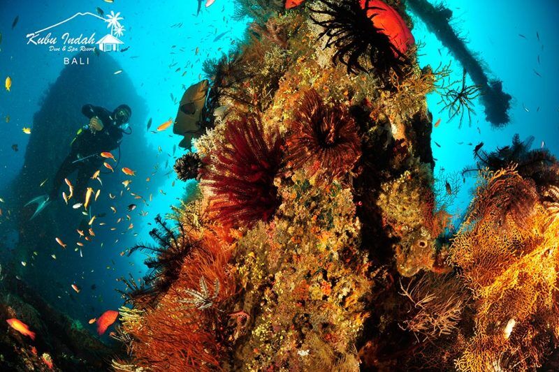 Kubu Indah Dive Resort: Frühbucher Angebot - 2025/2026