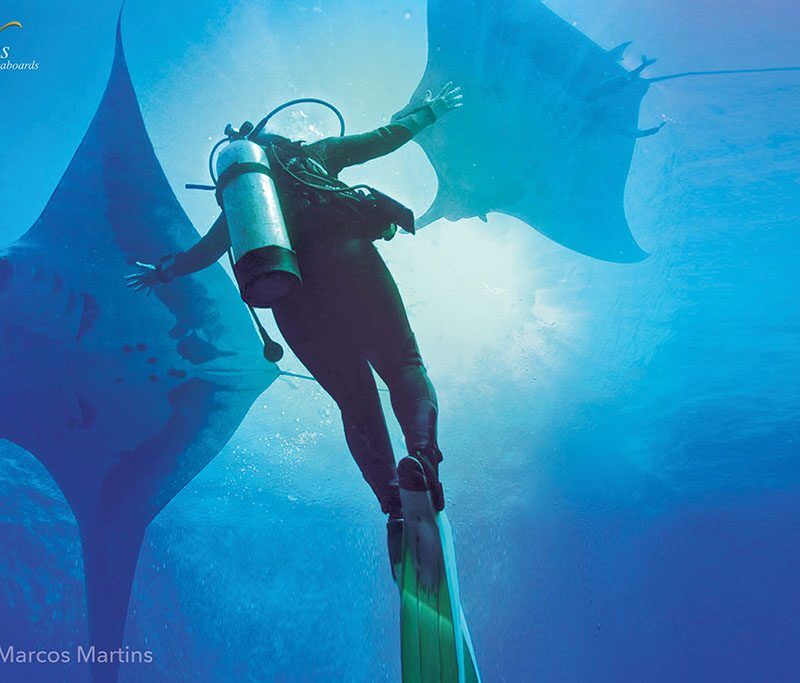 Nautilus Explorer - Socorro