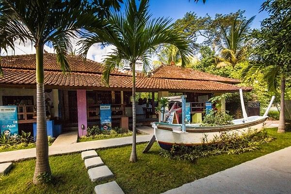 Two Fish Divers Amed