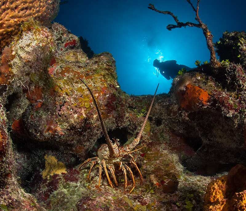 Turks & Caicos Explorer II