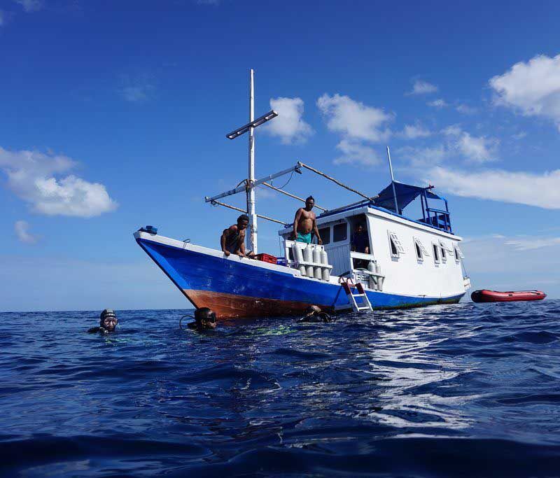 South Sulawesi Divers