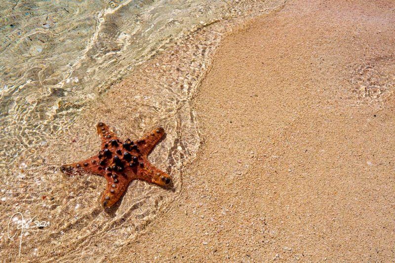 Saronde Island Resort