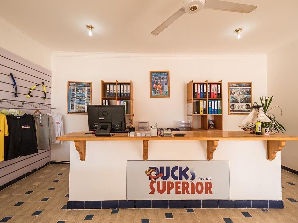 Ducks Diving Superior