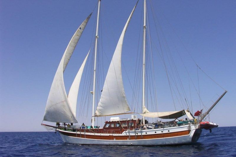 MSY Elegante - Djibouti