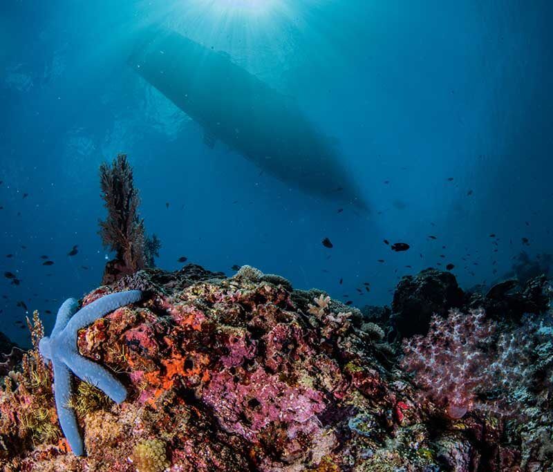 Pondok Sai  - Bali - Messerabatt! 2026