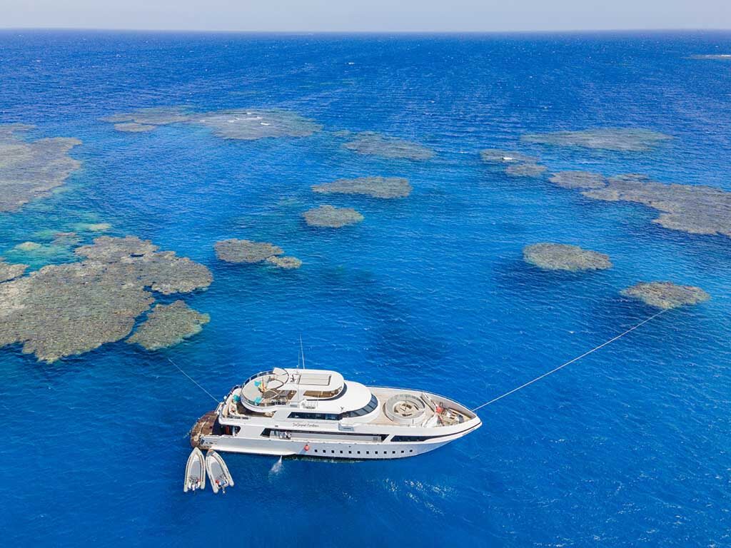 Sea Serpent Excellence