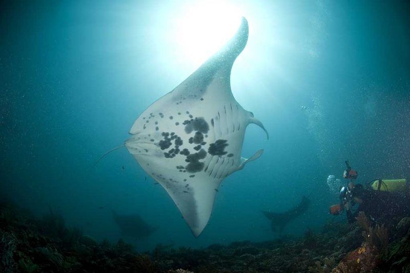 Gruppenreise Philippinen 2027 – Malapascua & Ticao Island