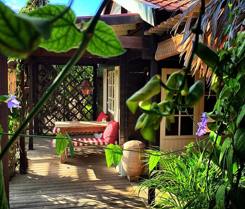 Bamboo Bonaire