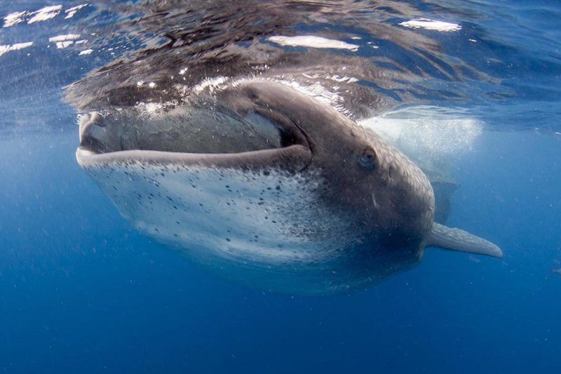 Gruppenreise Nosy Be, Madagaskar, September 2026