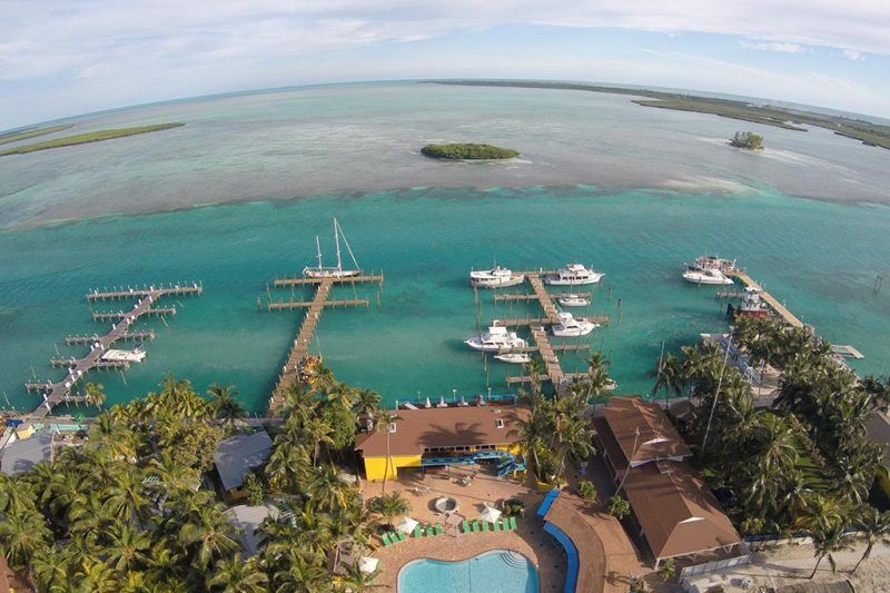 Bimini Big Game Resort & Marina - Hammerhai Tauchen 2026/2027