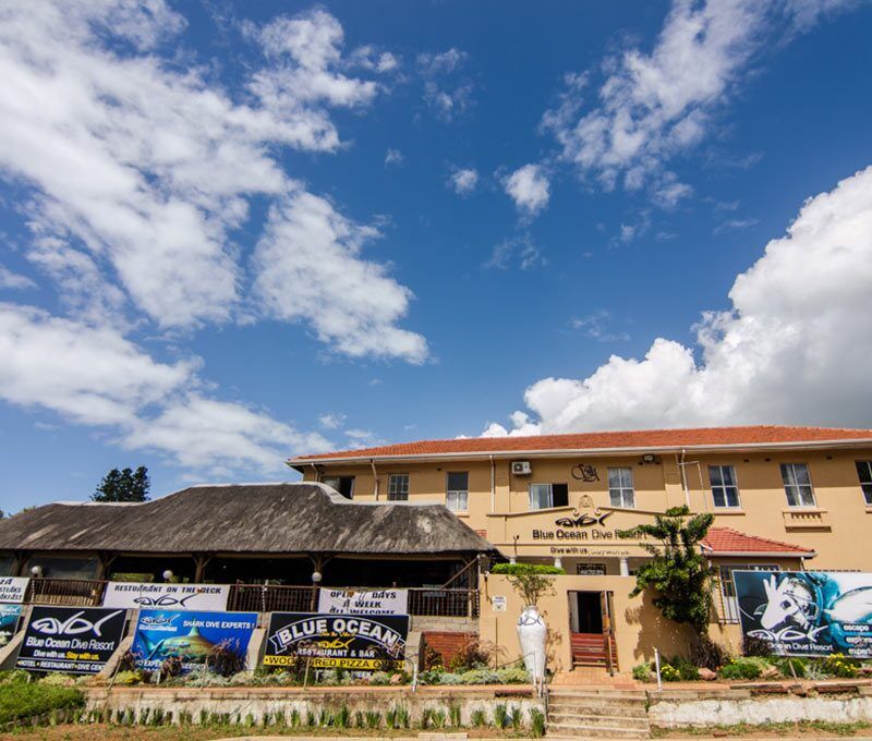 Blue Ocean Dive Resort