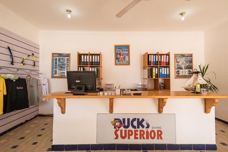 Ducks Diving Superior