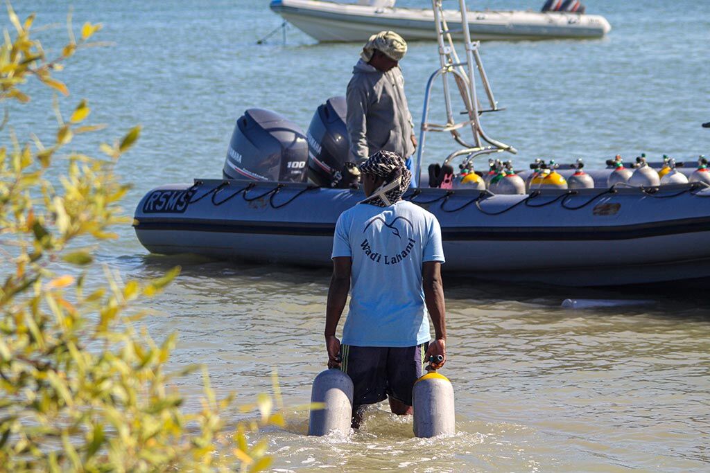 Red Sea Diving Safari - Wadi Lahami