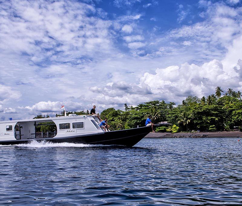 Passport to Paradise - Murex Dive Resorts