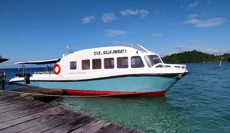 Dive Into Raja Ampat