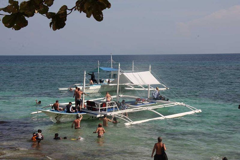 Magic Oceans Buddy-Angebot!