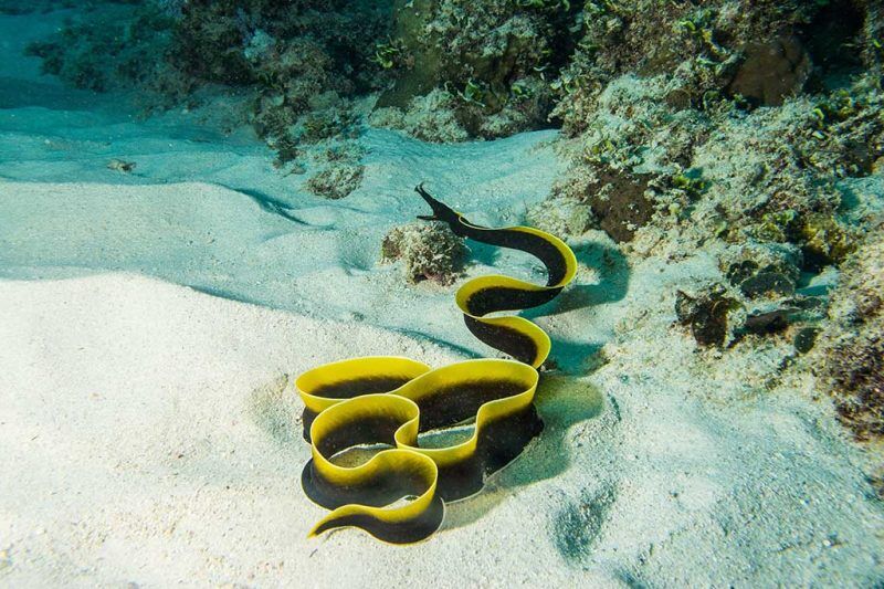 Ocean Spirit Diving Center