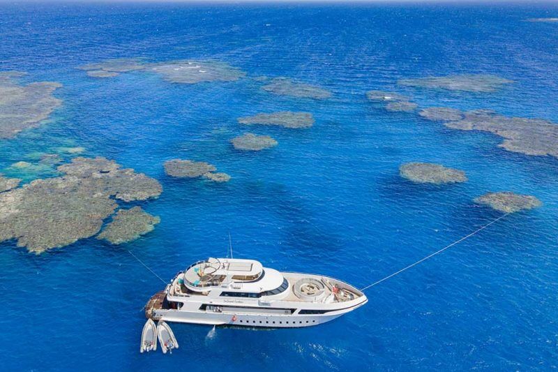 Sea Serpent Excellence