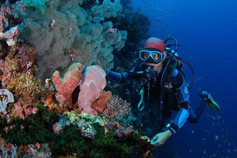 Southern Leyte Divers Tauchbasis