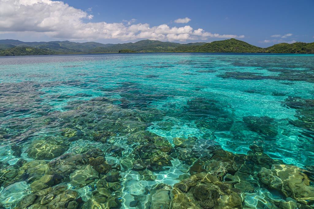 Mad Fish Dive Center