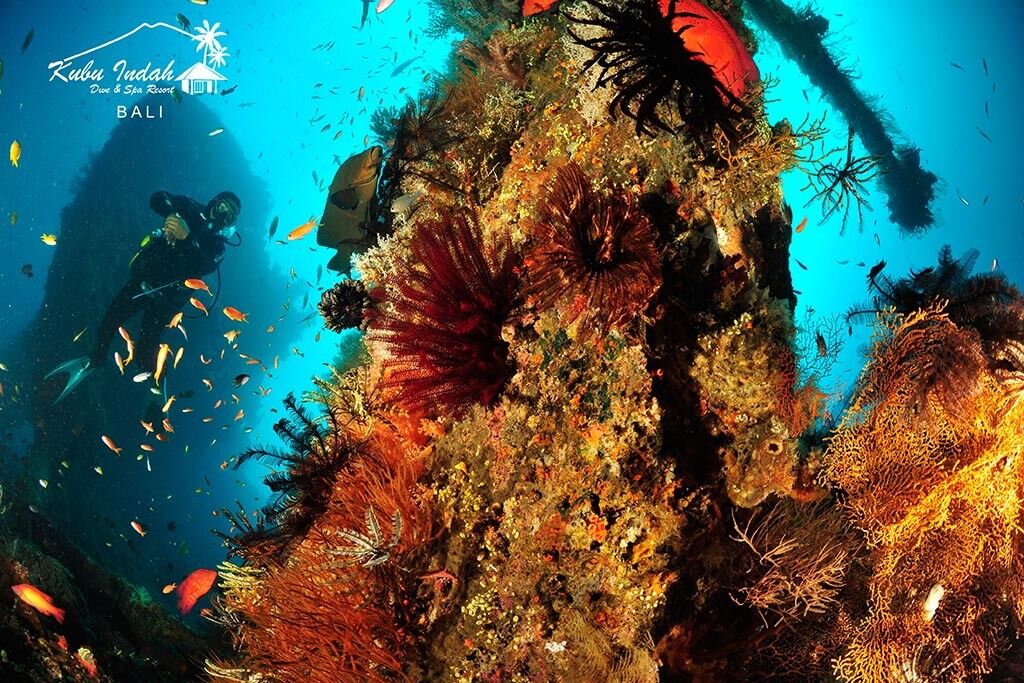 Kubu Indah Dive Resort: Frühbucher Angebot - 2025/2026