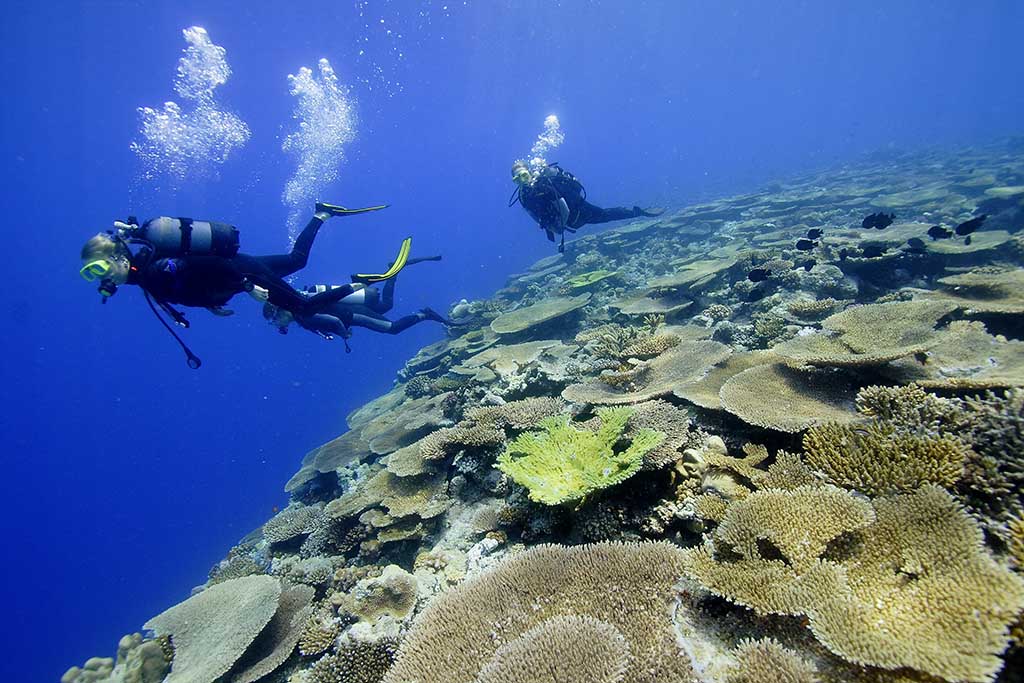 Le Lagon Maoré Tauchbasis