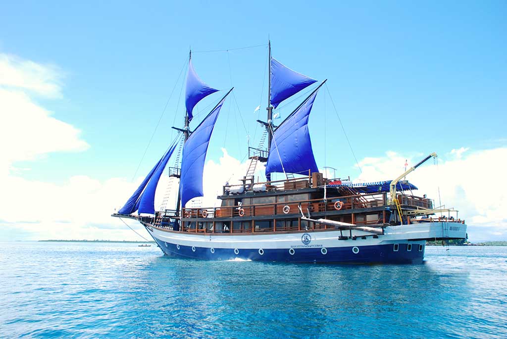 Sea Safari 8
