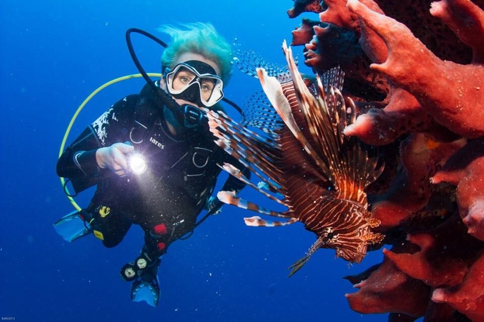 TGI Diving Roatan