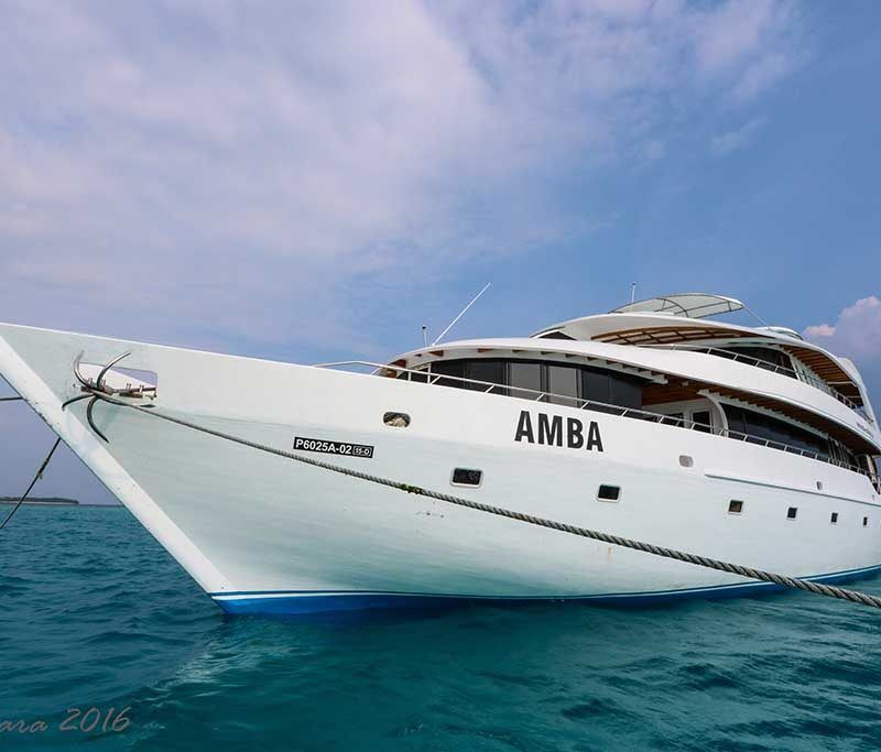 Amba