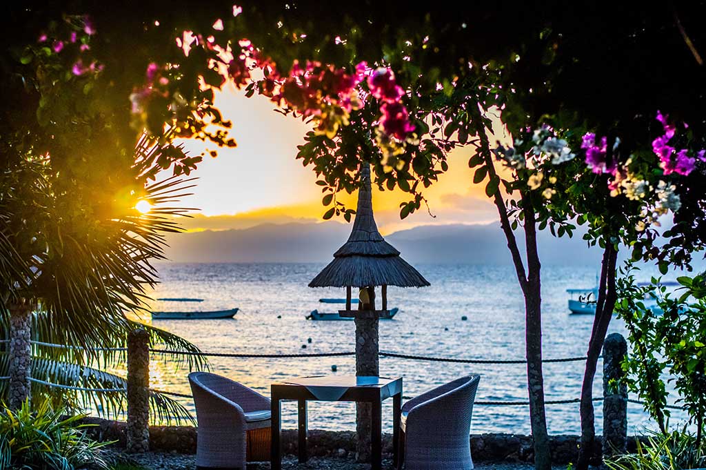 Dolphin House Moalboal: Sommer-Angebot 2027