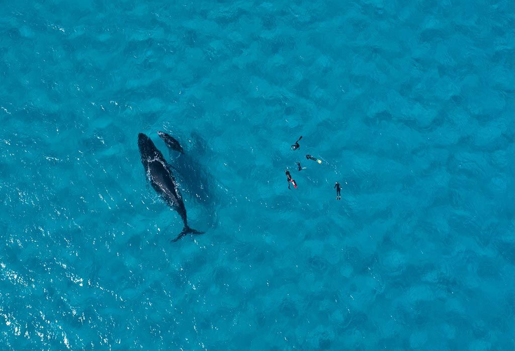 Matafonua Lodge - Foa Island