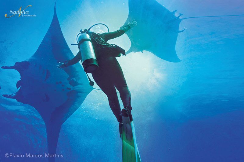 Nautilus Explorer - Socorro