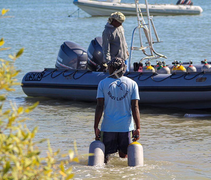Red Sea Diving Safari - Wadi Lahami