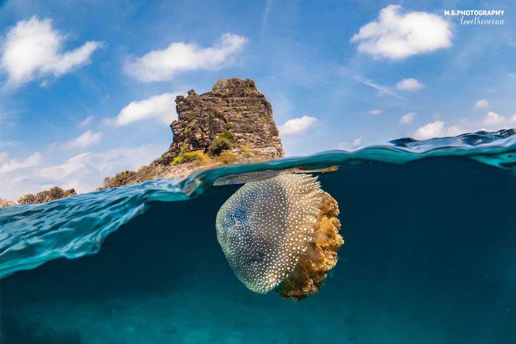 Ko Lanta Diving Center
