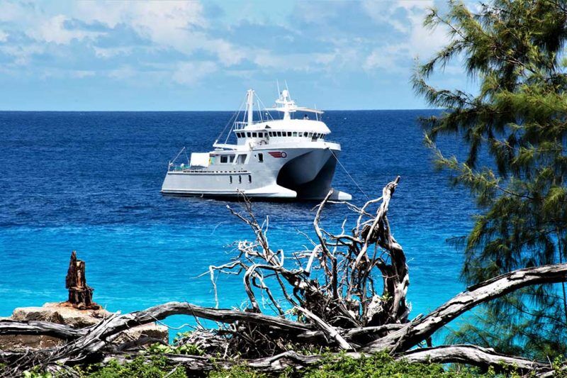 MY Basilisk Seychelles - Kreuzfahrt-Expeditionen