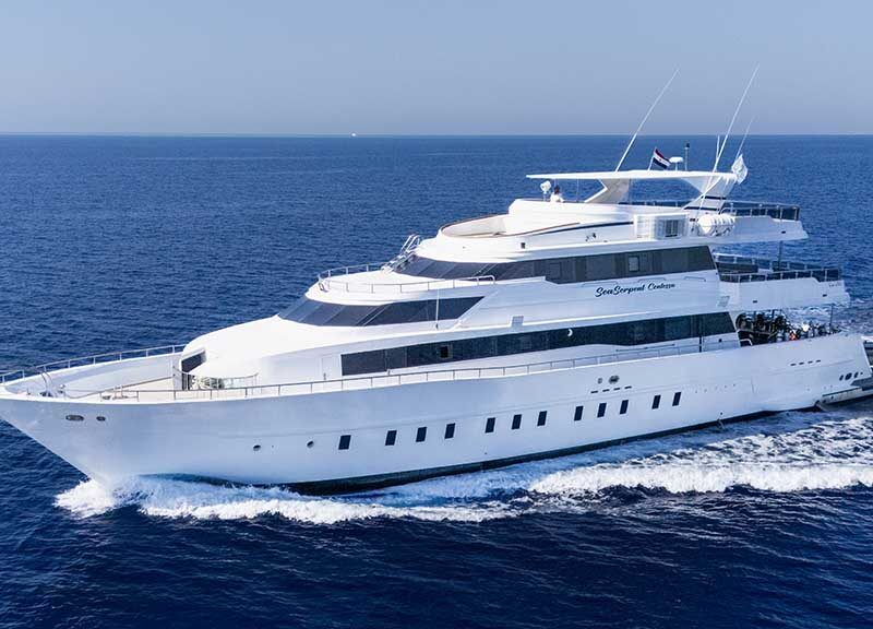 Sea Serpent Contessa