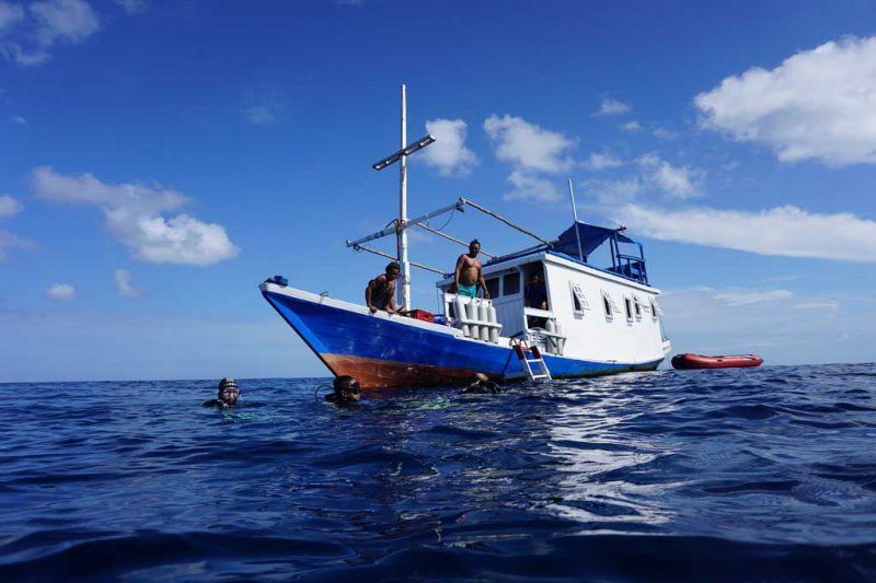 South Sulawesi Divers