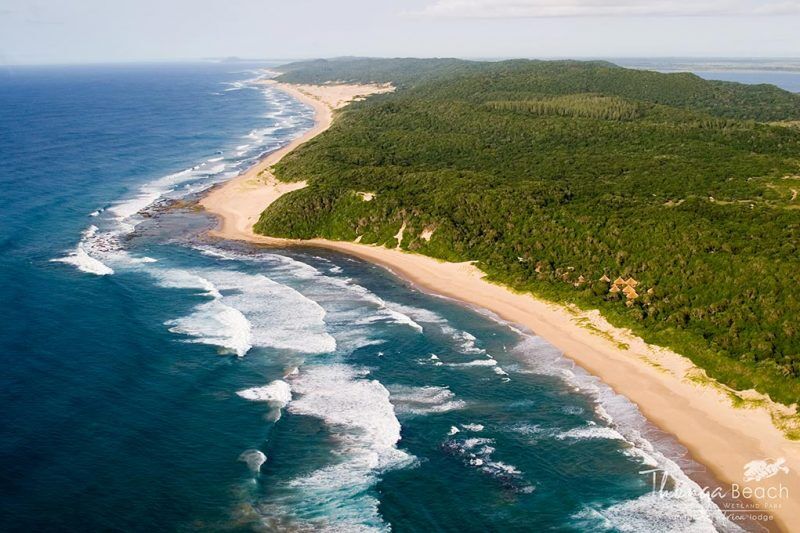Thonga Beach Lodge