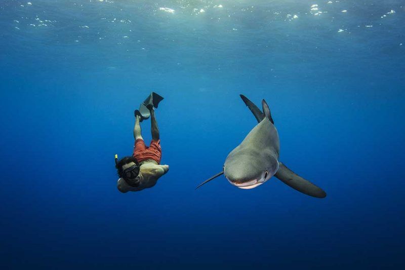 Norberto Diver