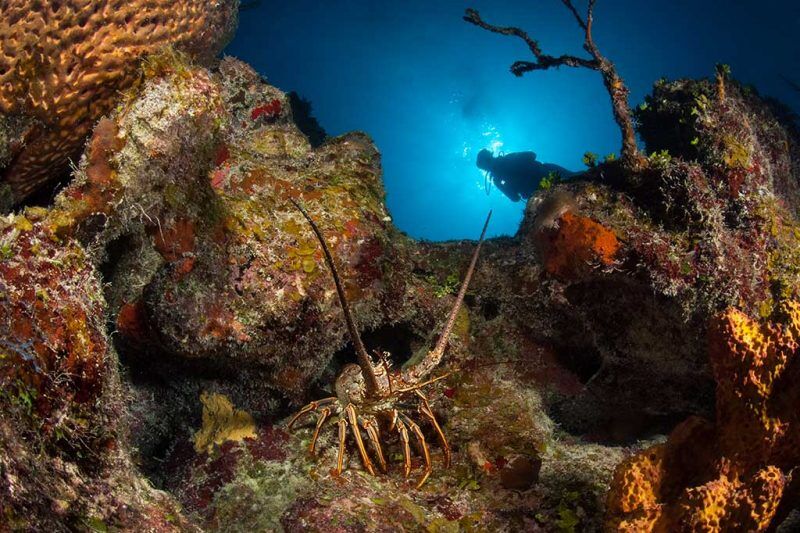 Turks & Caicos Explorer II