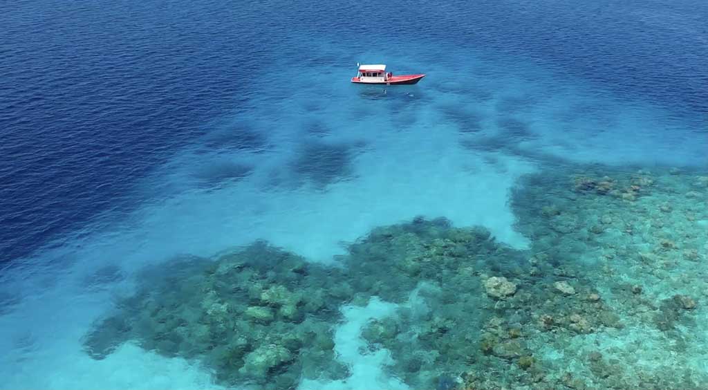 Reveries Scuba Zone