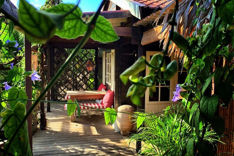 Bamboo Bonaire