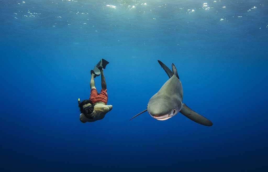Norberto Diver