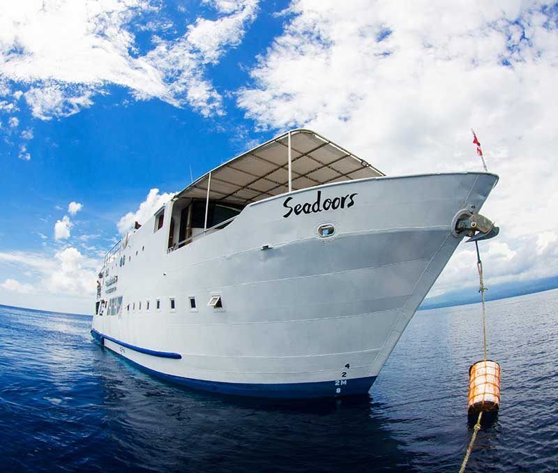 Seadoors - Rabatt auf Tauchsafaris in Juni & Juli