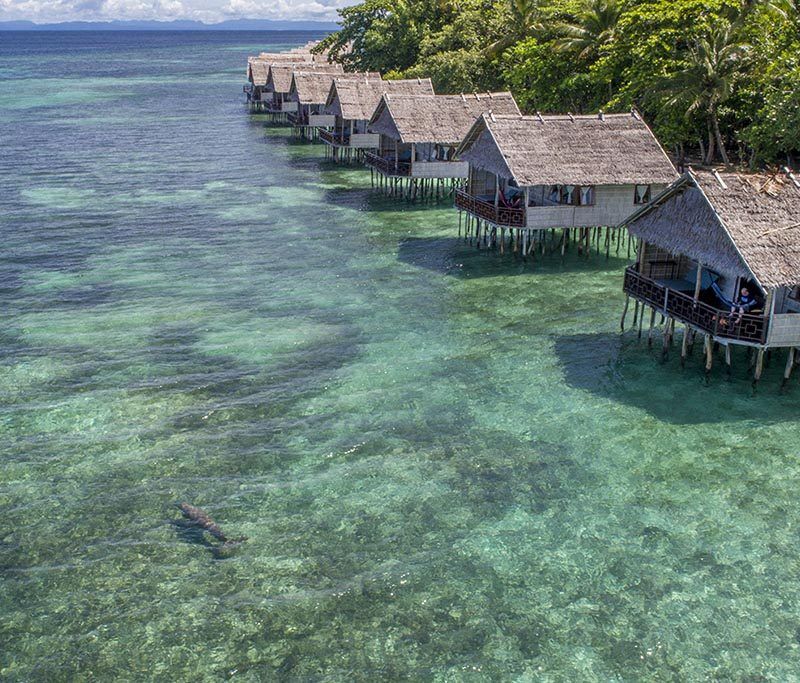 Lotus Papua Paradise : 10% Rabatt bis Ende 2027