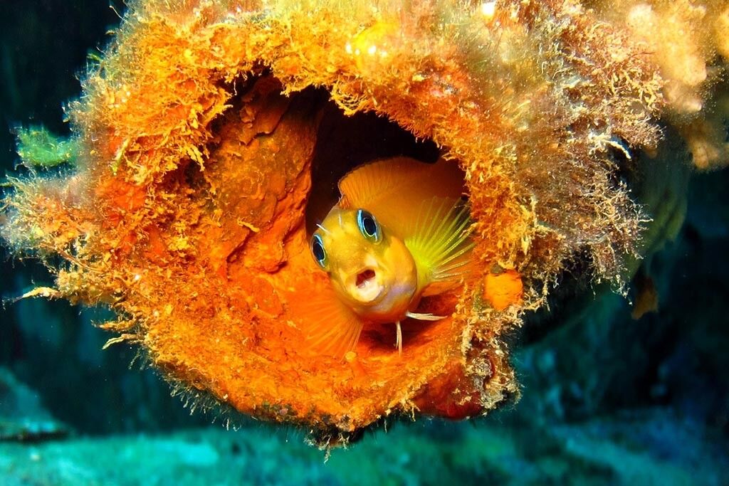 Sakatia Lodge Dive Center